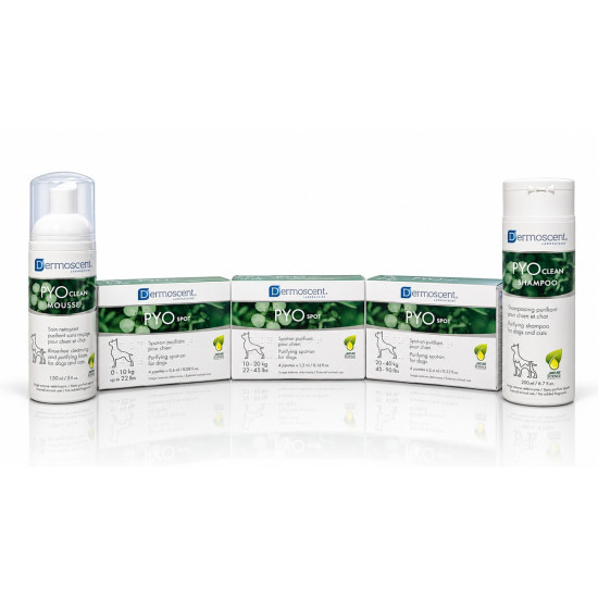 Dermoscent PYOclean Mousse – Spumă Antimicrobiană fără Clătire pentru Câini și Pisici – 150 ml